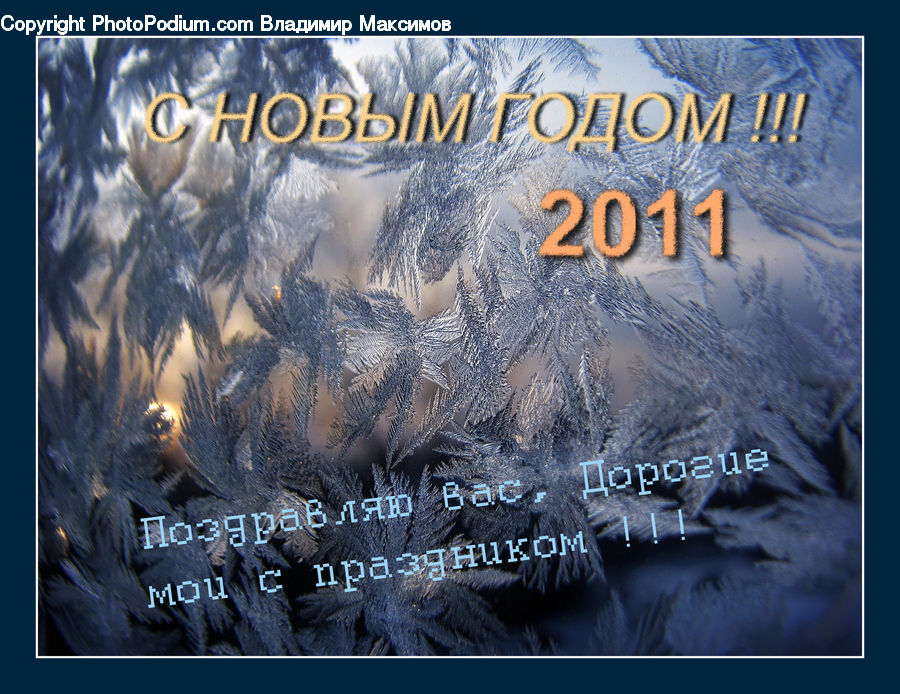Brochure, Flyer, Poster, Diploma, Text