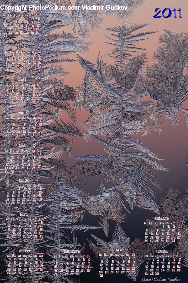 Frost, Ice, Outdoors, Snow, Brochure, Flyer, Paper