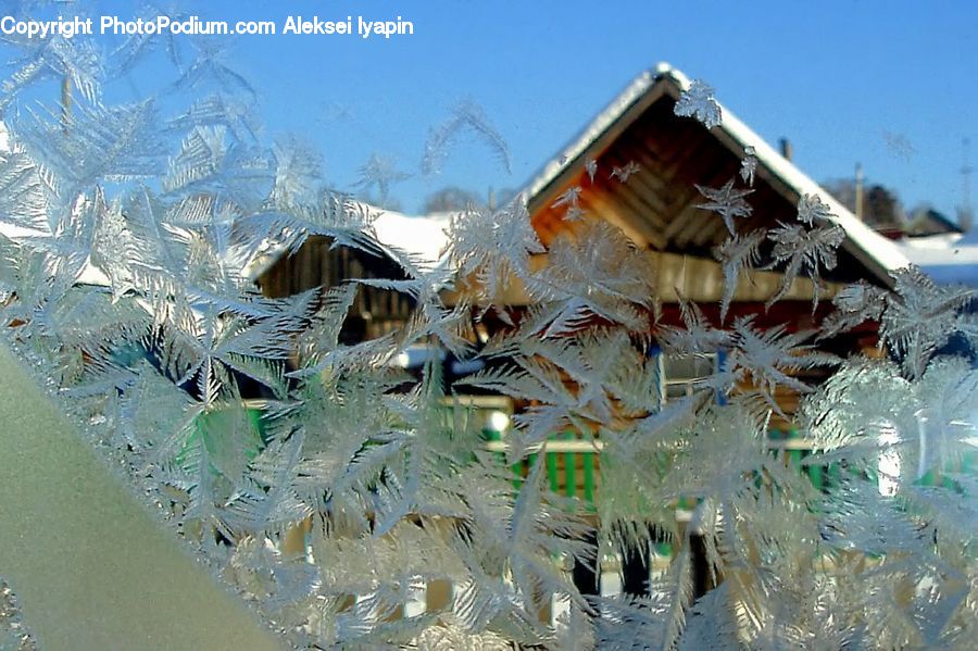 Frost, Ice, Outdoors, Snow