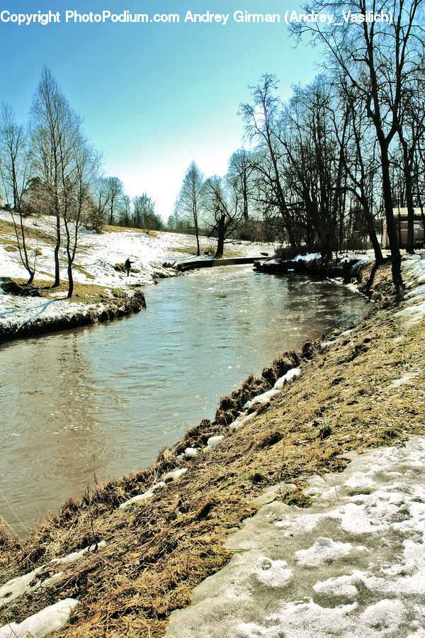 Flood, Outdoors, River, Water, Plant, Tree, Creek