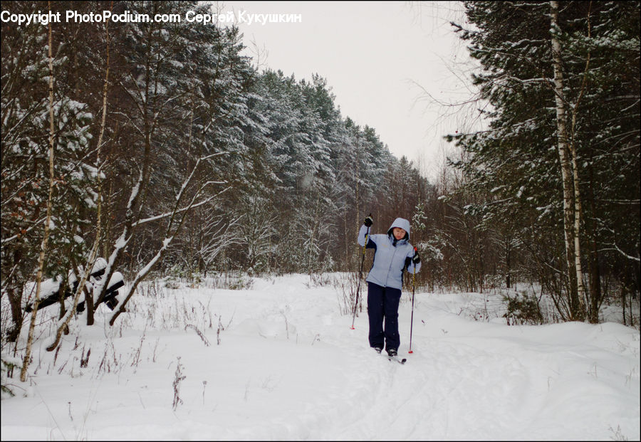Human, People, Person, Piste, Skiing, Slide, Snow