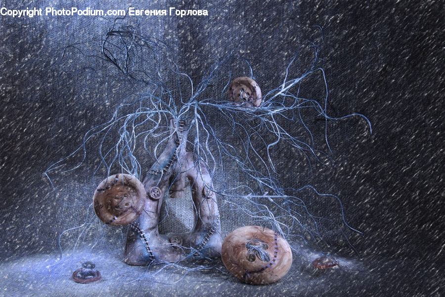 Insect, Spider Web, Invertebrate, Jellyfish, Sea Life