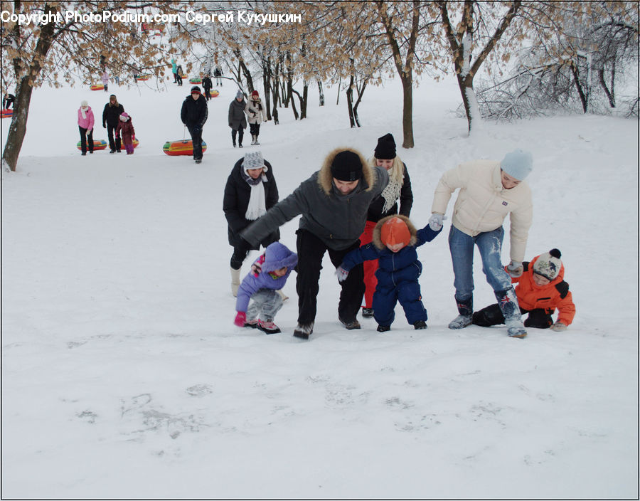 People, Person, Human, Ice Skating, Rink, Skating, Sport