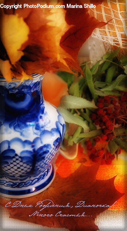 People, Person, Human, Plant, Potted Plant, Produce, Vegetable