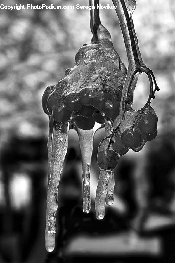 Tap, Ice, Outdoors, Snow, Water