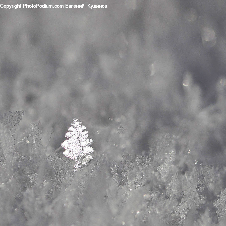 Frost, Ice, Outdoors, Snow, Crystal, Snowflake