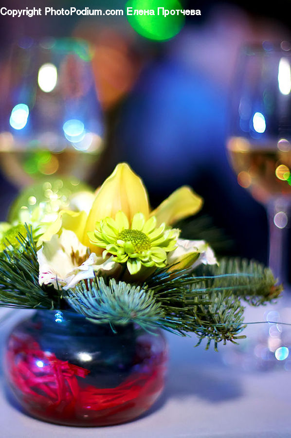 Blossom, Flora, Flower, Plant, Lighting, Flower Arrangement, Flower Bouquet