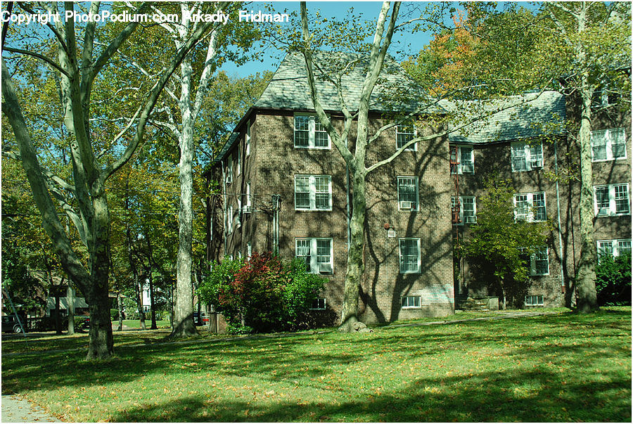 Building, Cottage, Housing, Yard, Backyard, Field, Grass