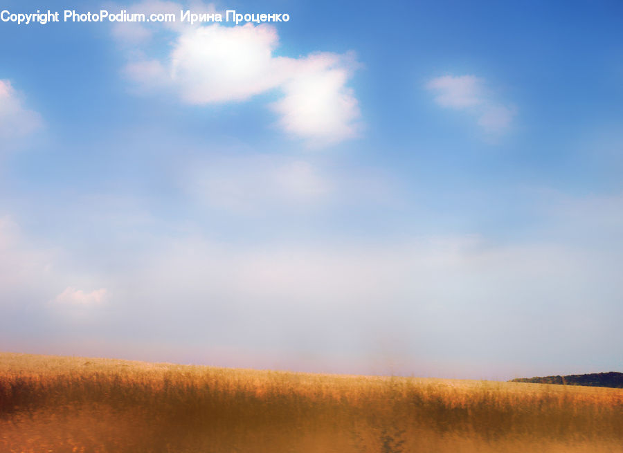 Field, Grass, Grassland, Land, Outdoors, Plant, Grain