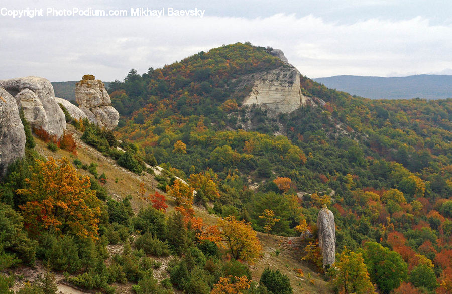 Crest, Mountain, Outdoors, Peak, Rock, Forest, Grove