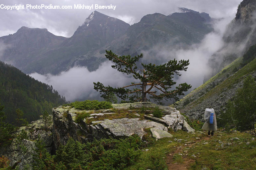 Crest, Mountain, Outdoors, Peak, Mountain Range, Nature, Landscape
