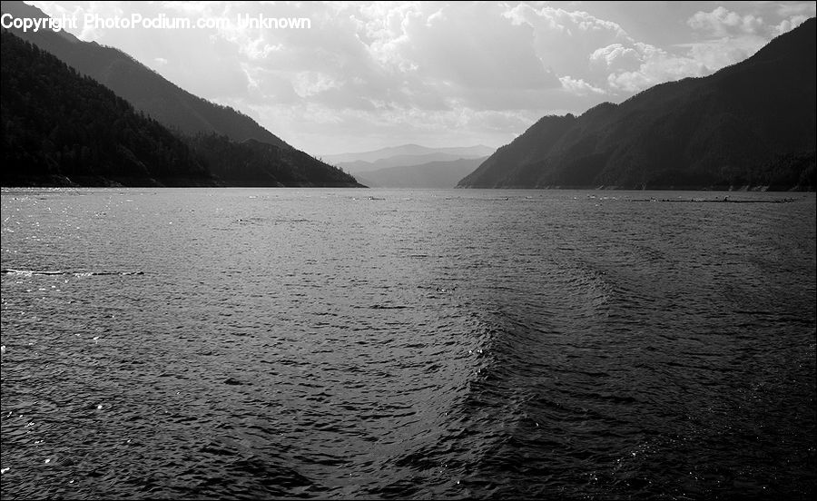 Outdoors, Sea, Water, Ocean, River, Forest, Jungle