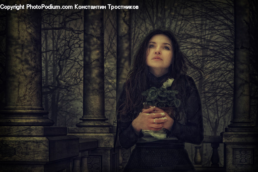 Human, People, Person, Plant, Potted Plant, Asleep, Crypt