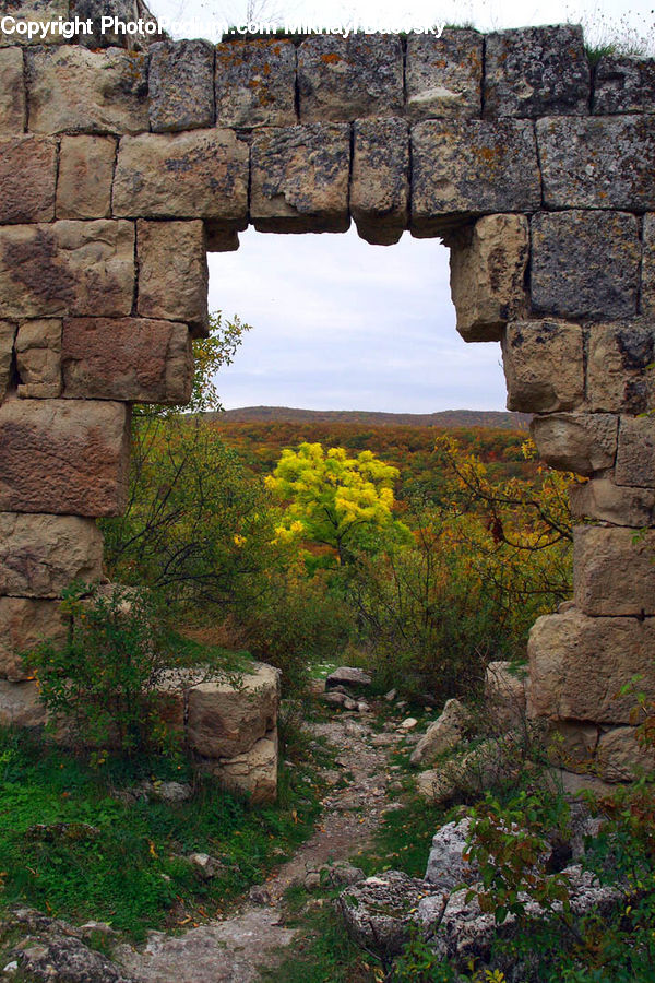 Ruins, Tree Stump, Rock, Castle, Fort, Bush, Plant