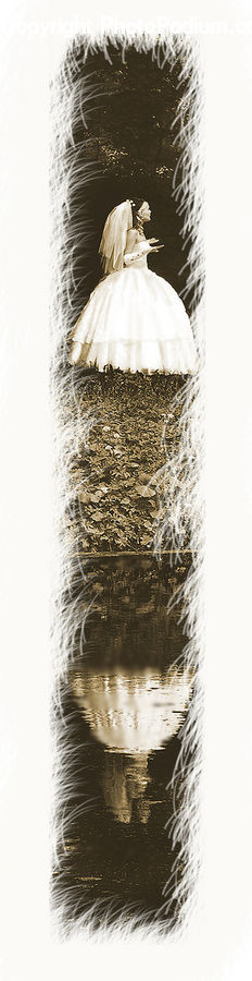 Evening Dress, Gown, Clothing, Dress
