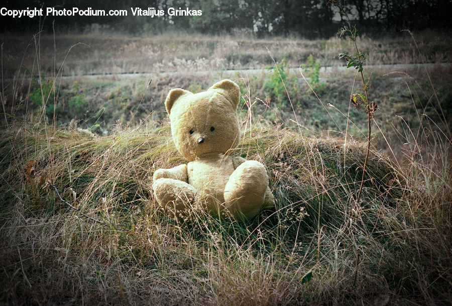 Teddy Bear, Toy, Animal, Mammal, Sheep, Bear, Giant Panda