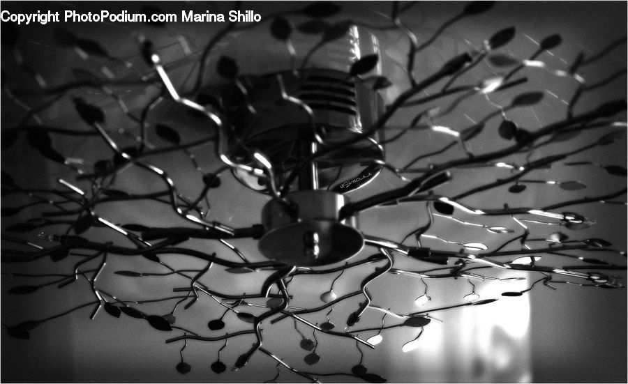 Chandelier, Lamp, Lighting, Plant, Blossom, Flora, Flower