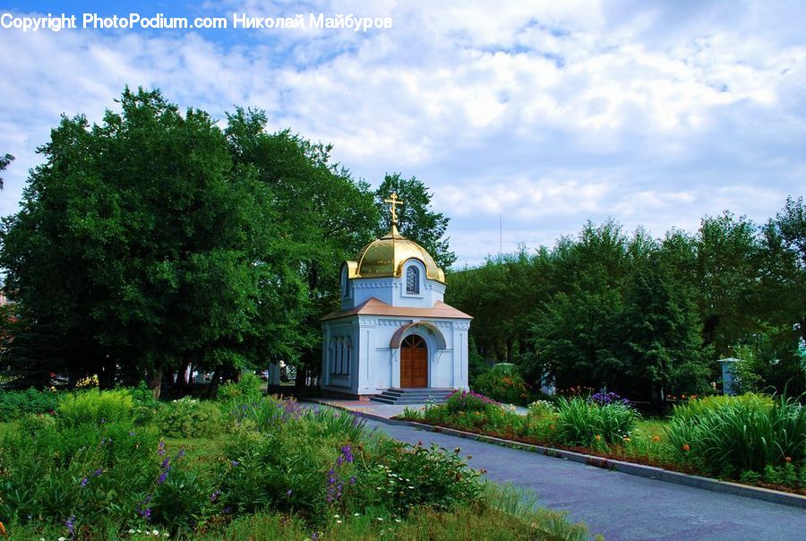 Plant, Potted Plant, Architecture, Bell Tower, Clock Tower, Tower, Dog House