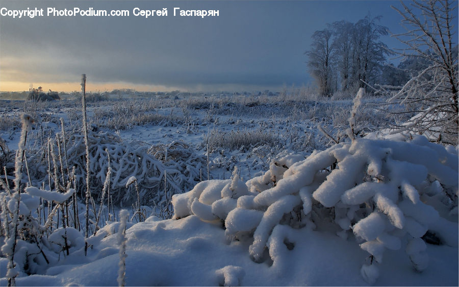 Frost, Ice, Outdoors, Snow, Land, Plateau, Tundra