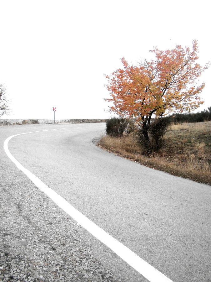 Road, Pavement, Asphalt, Tarmac, Landscape, Nature, Scenery