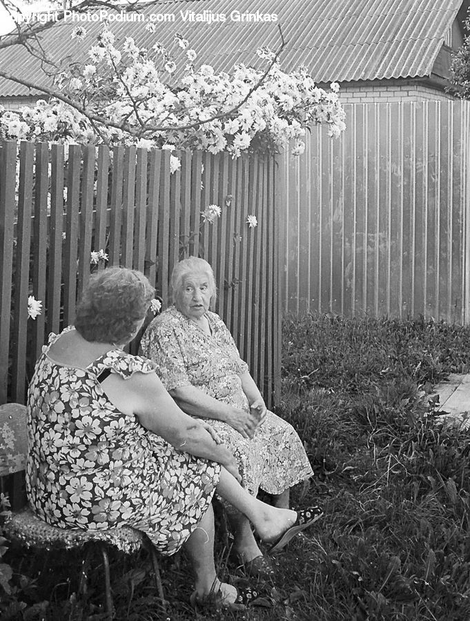 People, Person, Human, Backyard, Yard, Chair, Furniture