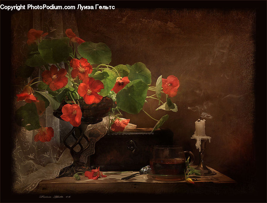 Plant, Potted Plant, Floral Design, Flower, Flower Arrangement, Flower Bouquet, Ikebana