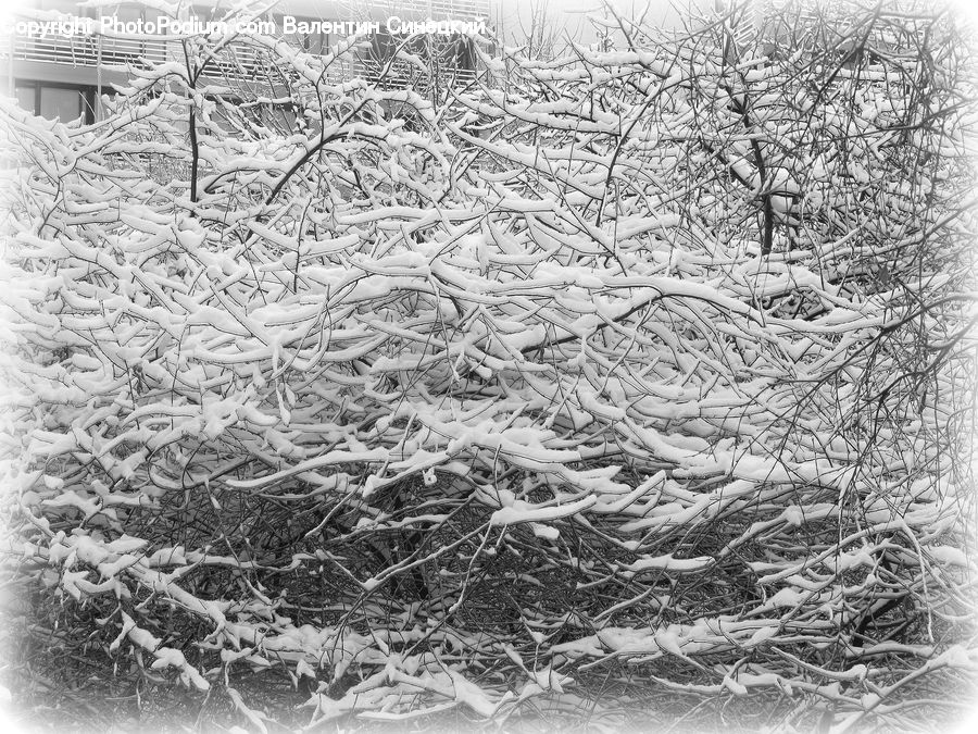 Ice, Outdoors, Snow