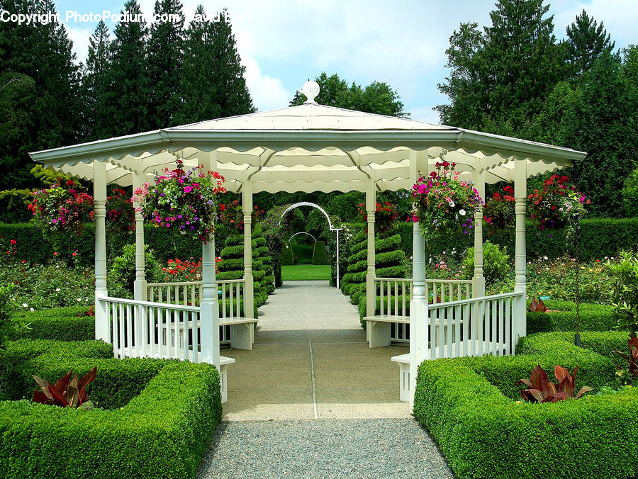 Gazebo, Deck, Housing, Porch, Garden, Gardening, Patio