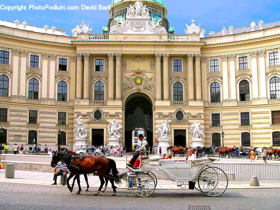 Animal, Horse, Mammal, Carriage, Horse Cart, Vehicle, Bicycle