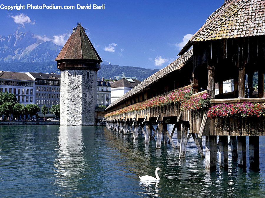 Castle, Ditch, Fort, Moat, Hotel, Resort, Building