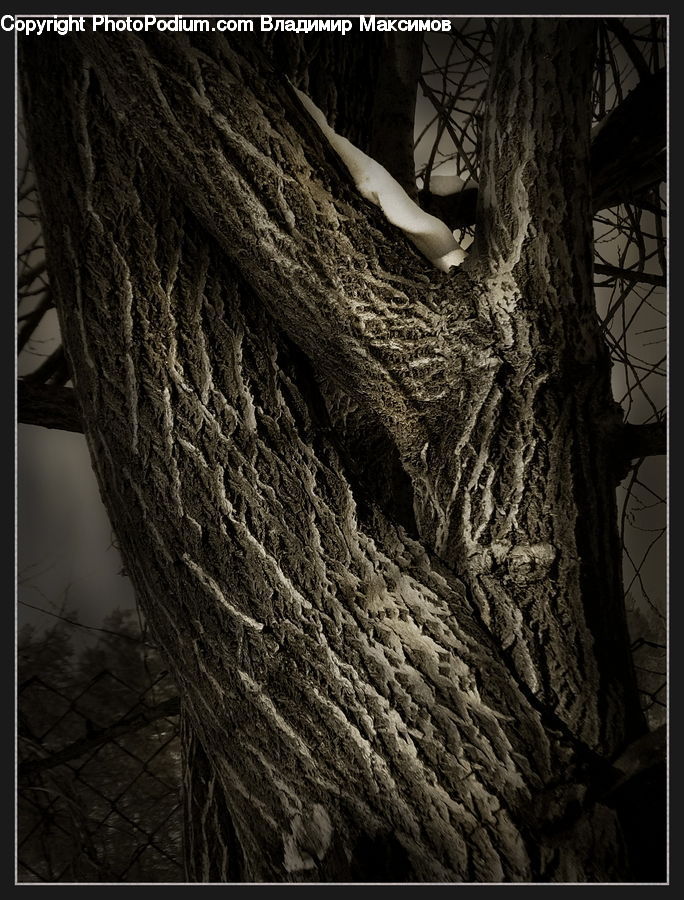 Art, Modern Art, Plant, Tree