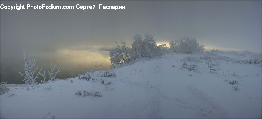 Blizzard, Outdoors, Snow, Weather, Winter, Landscape, Nature