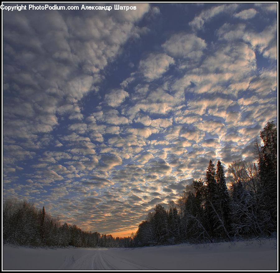 Azure Sky, Cloud, Outdoors, Sky, Cumulus, Landscape, Nature