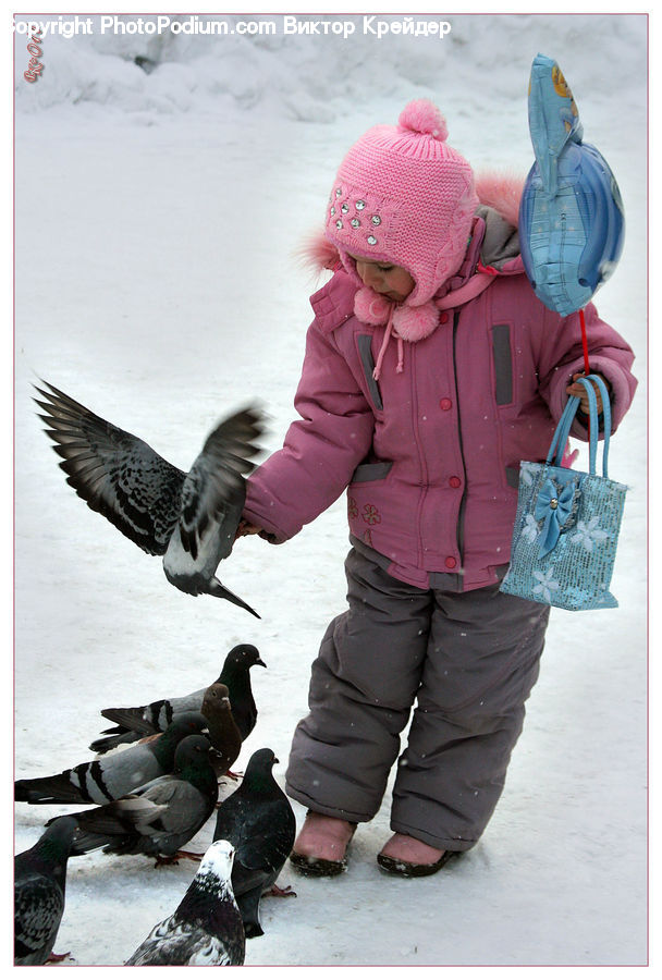 People, Person, Human, Bird, Pigeon, Bag, Dove