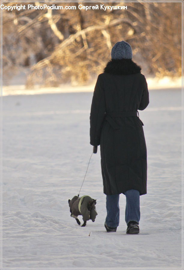 People, Person, Human, Leisure Activities, Walking