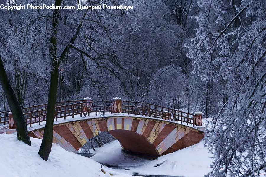 Bench, Ice, Outdoors, Snow, Plant, Tree, Landscape