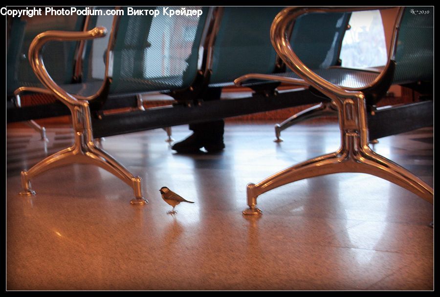 Chair, Furniture, Dining Table, Table, Hardwood, Wood, Banister
