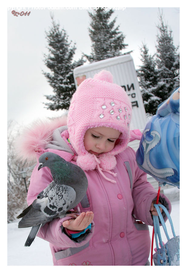 People, Person, Human, Bird, Pigeon, Dove, Bonnet
