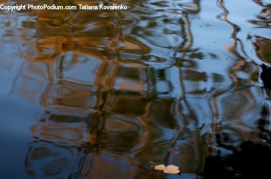 Outdoors, Ripple, Water, Glass, Art, Modern Art, Goblet