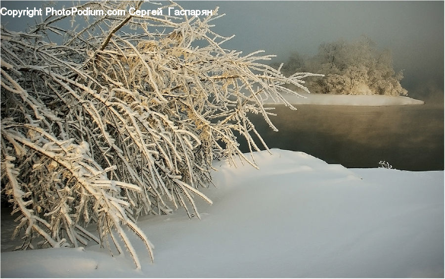 Ice, Outdoors, Snow, Field, Grass, Grassland, Plant