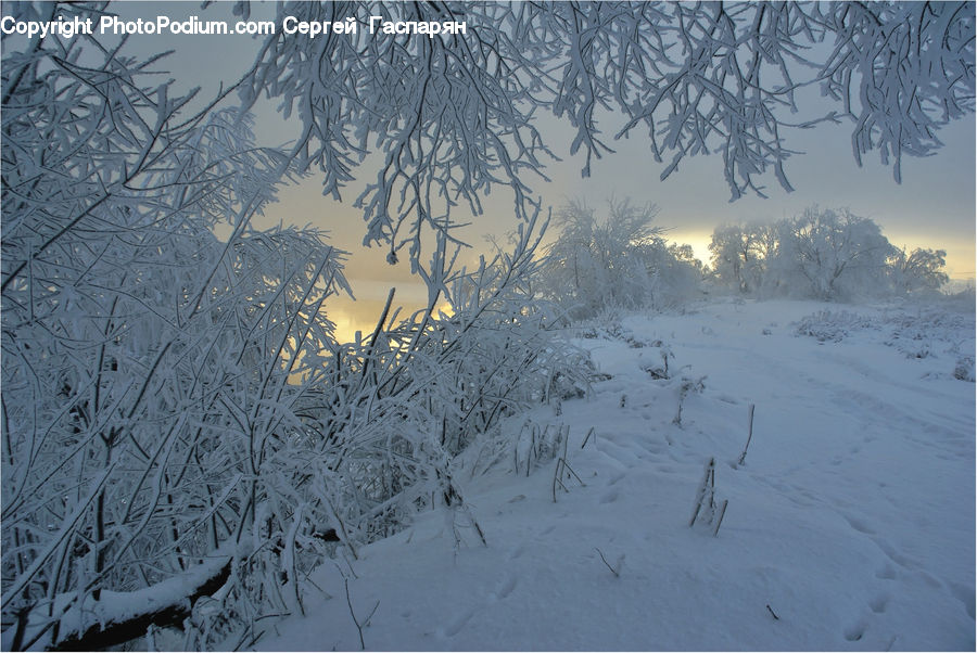 Blizzard, Outdoors, Snow, Weather, Winter, Landscape, Nature