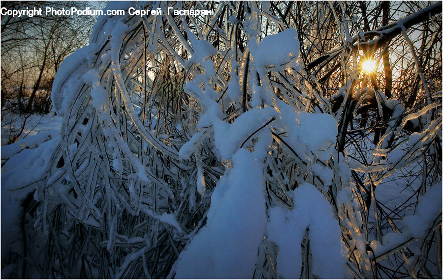 Ice, Icicle, Snow, Winter