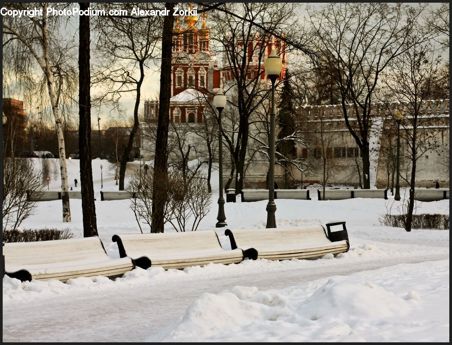 Campus, Landscape, Nature, Scenery, Park