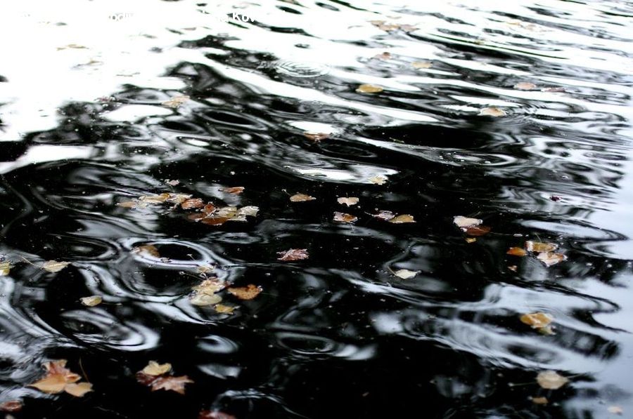 People, Person, Human, Water, Art, Modern Art