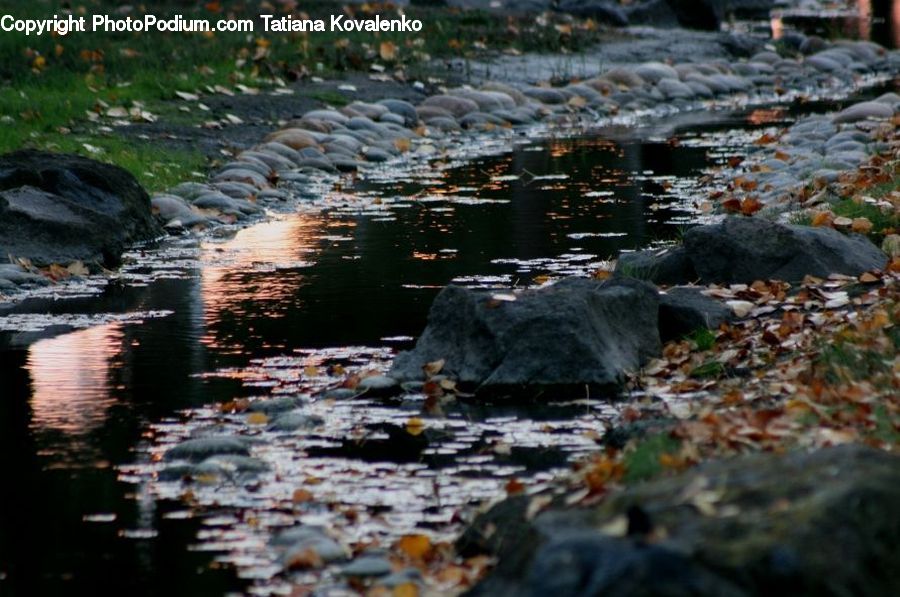 Creek, Outdoors, River, Water, Plant, Potted Plant, Stream