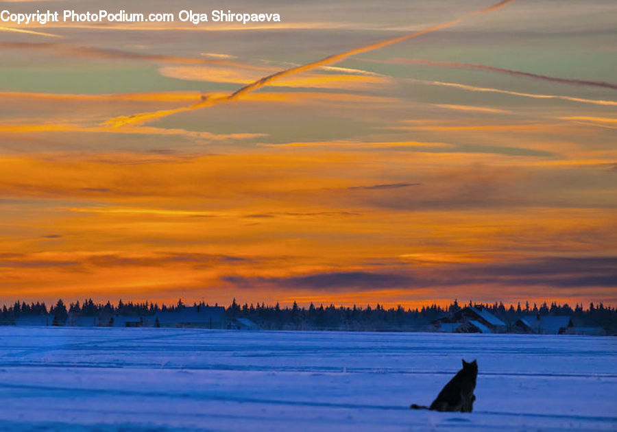 Dawn, Dusk, Sky, Sunrise, Sunset, Red Sky, Leisure Activities