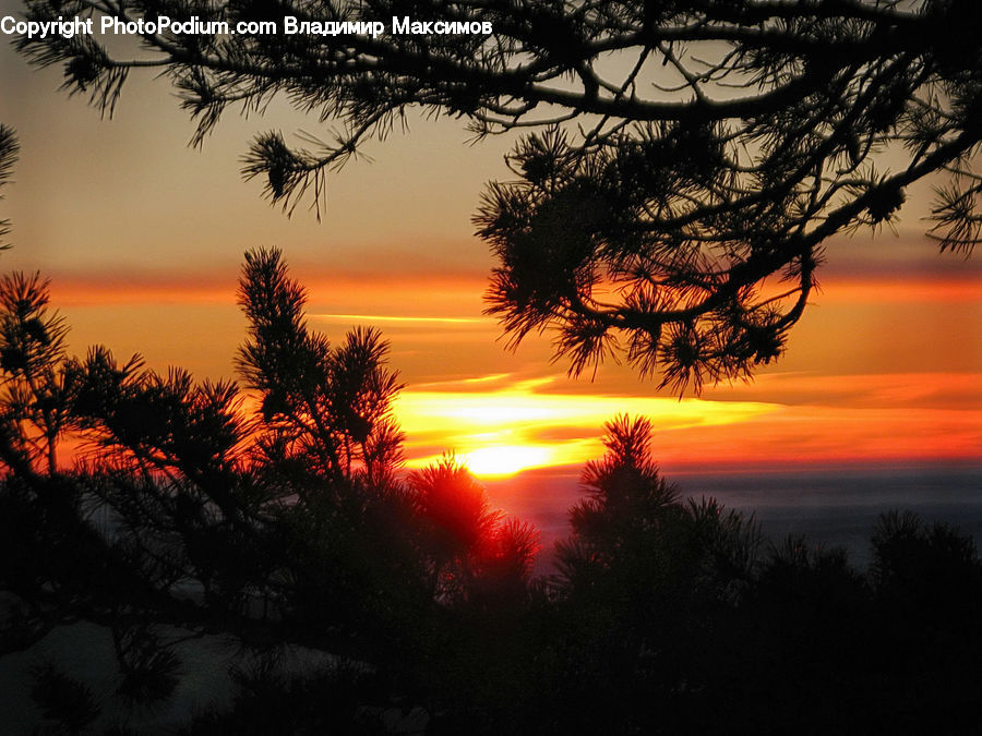 Dusk, Outdoors, Sky, Sunlight, Sunrise, Sunset, Dawn