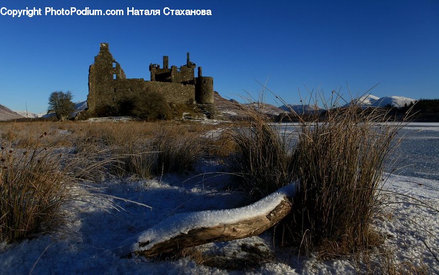 Architecture, Castle, Fort, Field, Grass, Grassland, Plant