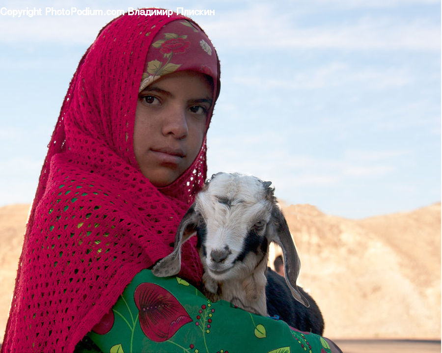 People, Person, Human, Animal, Goat, Mammal, Mountain Goat