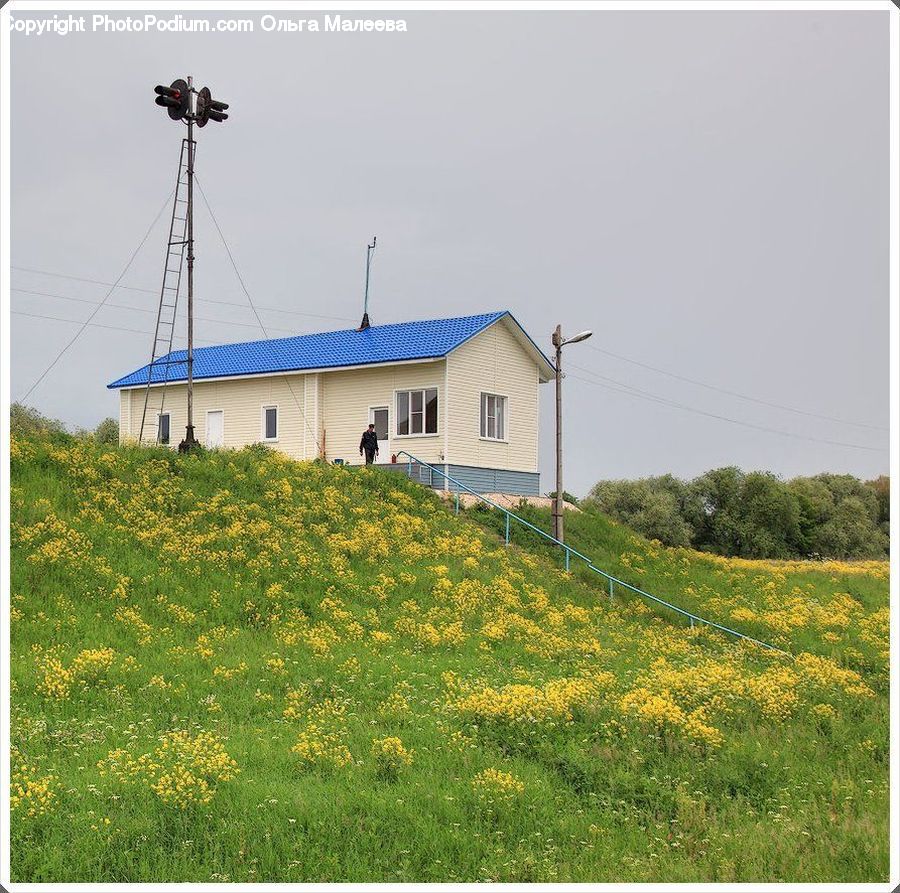 Beacon, Building, Lighthouse, Water Tower, Cabin, Hut, Rural